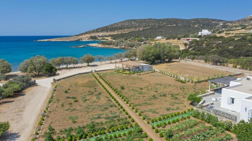 Seaside Villa Glyfa Paros Aspro Chorio Exterior photo